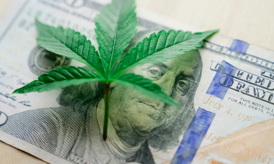A marijuana leaf on top of a hundred dollar bill