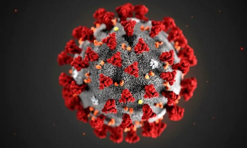 This illustration provided by the Centers for Disease Control and Prevention (CDC) in January 2020 shows the 2019 Novel Coronavirus (2019-nCoV).