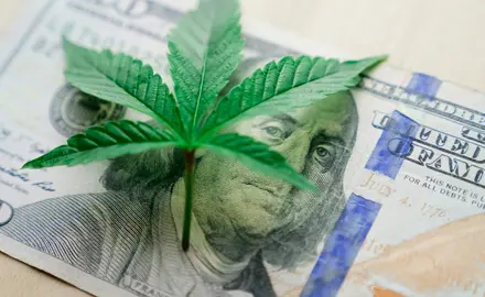 A marijuana leaf on top of a hundred dollar bill