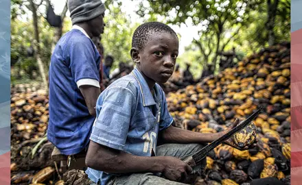 A child uses a knife while working on a cocoa farm