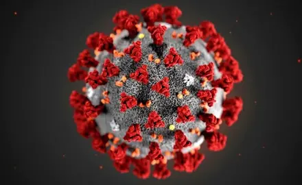 This illustration provided by the Centers for Disease Control and Prevention (CDC) in January 2020 shows the 2019 Novel Coronavirus (2019-nCoV).