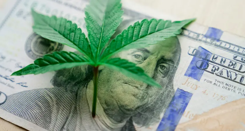 A marijuana leaf on top of a hundred dollar bill