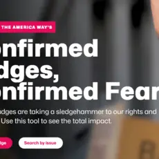 A screenshot of confirmedfears.org with text reading "Confirmed Judges, Confirmed Fears"