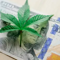 A marijuana leaf on top of a hundred dollar bill