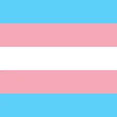 Transgender Pride Flag