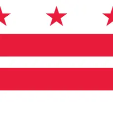 D.C. Flag