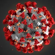 This illustration provided by the Centers for Disease Control and Prevention (CDC) in January 2020 shows the 2019 Novel Coronavirus (2019-nCoV).